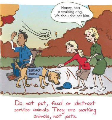 Comic panel featuring a man using a wheelchair who has a service dog. They are in a park and the man's hat was blown off his head by wind, the dog is picking up the hat while a young girl is reaching out to pet the dog.  The girl's mom is saying Honey, he's a working dog. We shouldn't pet him.