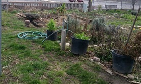 The community garden before its transformation into an accessible space.